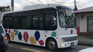 鹿沼市内運行バス【 リーバス 】に「 ヤクルト1000 」が乗（載）っています。