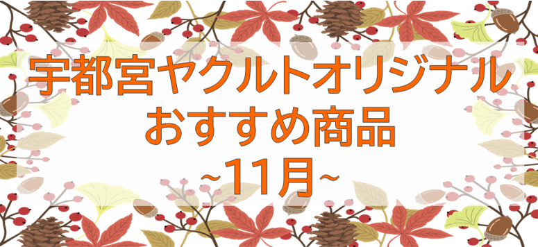 11月販売商品のご案内