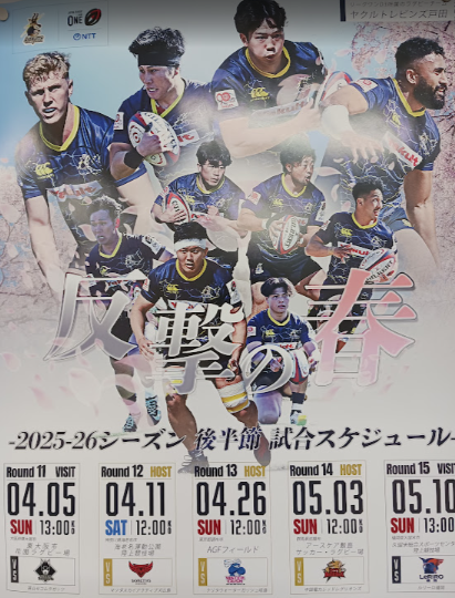 ヤクルトレビンズを応援してます！！